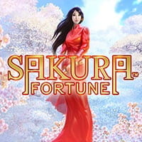 Sakura Fortune Sakura Fortune